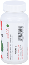 Graviola Plantis 90Capsules