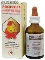 Propolis Alcohol-Free Adults 50ml.