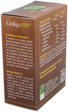 Ginkgo 100 with 60 Capsules