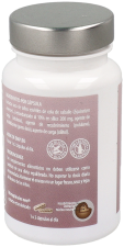 Horsetail Microgranules 45 Capsules