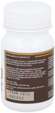 Devil's Claw 500 mg 100 Tablets