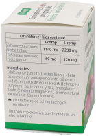 Echinaforce Kids Immune System 80 Tablets