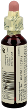 Bach 11 Elm 20 ml