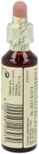 Bach 17 Hornbeam 20 ml