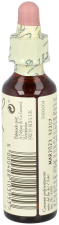 Bach 19 Larch 20 ml