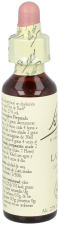 Bach 19 Larch 20 ml
