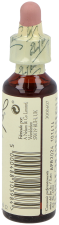 Bach 22 Oak 20 ml
