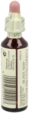 Bach 33 Walnut 20 ml