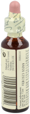 Bach 29 Star of Bethlehem 20 ml