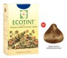 Ecotint Swedish Blonde-Ec10C