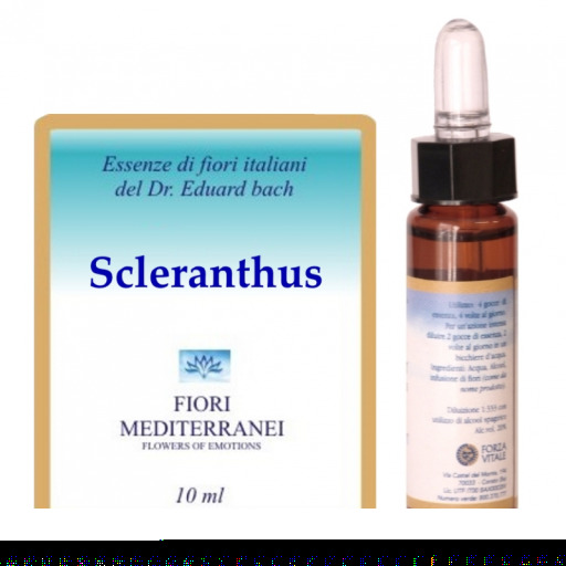 Fm 28 Sclerantus 10 ml