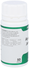 Ayurveda Ginger Capsules