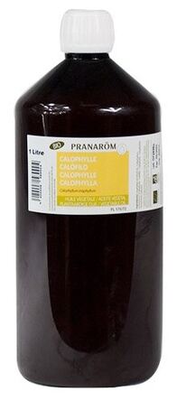 Organic Calophyllum Vegetable Oil