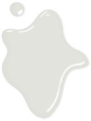 Wildshine Nail Color Matte Top Coat