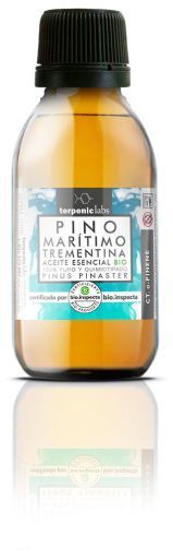Maritime Pine Essential Oil