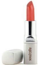 Lipstick 777 Rich Earth