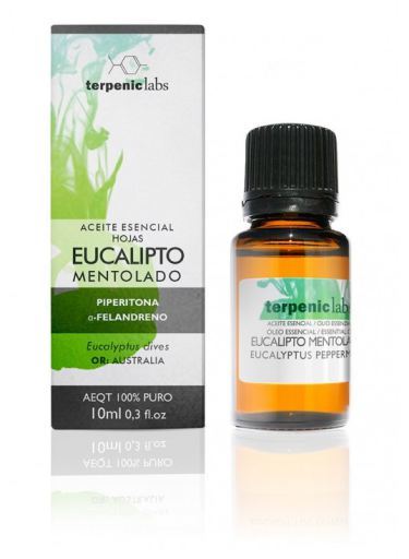 Eucalyptus Menthol 10 ml
