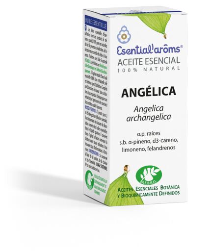 Angelica Essential Oil 5 ml