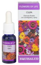 Flower Of Life Guilt 15 ml