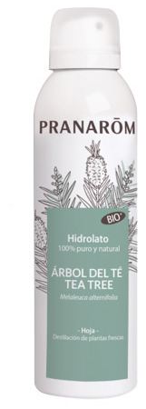 Organic Tea Tree Hydrolate 150 ml