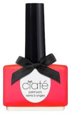 The Paint Pot Nail Polish 13.5ml