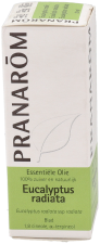 Eucalyptus Radiata Essential Oil