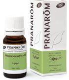 Cajeput Essential Oil 10 ml