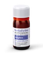 Ginger Essential Oil 100 ml