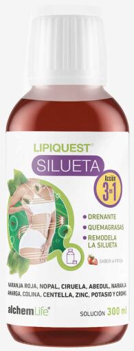 Lipiquest Siluet 3 in 1 Pack 300 ml