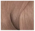 Shades Eq Gloss Tint 60X3 ml Units Shades Eq Gloss Tint 60X3 ml Units