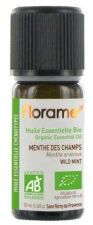 Wild Mint or Spearmint Essential Oil 10 ml