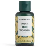 Ginger Shampoo 60 ml